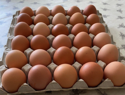 Organic Farm Eggs - Tray (30 pcs)