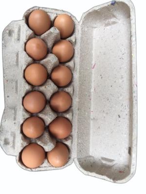 Organic Farm Eggs - Dozen (12 pcs)