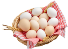 Take Organic Food and Stay Healthy