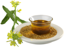 Take Organic Food and Stay Healthy